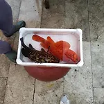 Aspra Al Delfino Blu *