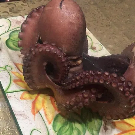 Aspra Al Delfino Blu